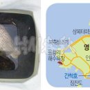 한솔낚시 이미지