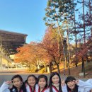 경희대 문무 태권도장 이미지