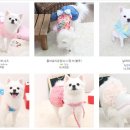 멍멍스타일 이미지