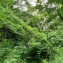 와리농장 이미지