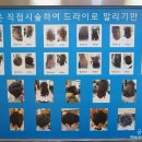 하이클라스미용실 네이버블로그