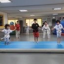 팡팡태권도장 이미지