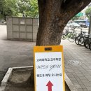 교우 | 고려대 교우회관 결혼식 하객 후기