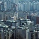 강서구-2 경향신문