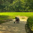 밤골 펜션 | 앵무새랑 놀러 갈 수 있는 펜션 앵무새 동반 가능 가평 밤골 펜션