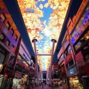 대전 스카이로드 이미지