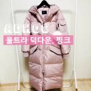 사라애드 이미지