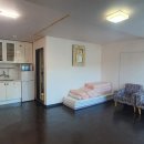 도그스테이 이미지