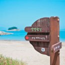 사우스마린스파펜션 이미지