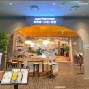 세상의모든아침 이미지