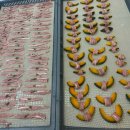 멍멍제과 이미지