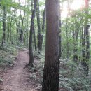 오투(O2) 이미지