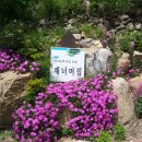 재너머 이미지