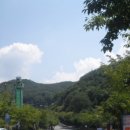 숲속작은민박 이미지