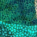 척산족욕공원 이미지