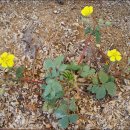 방축농장 이미지