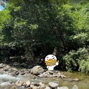 마평상회 | 춘천계곡명당 마평상회 방문기｜현지인 추천 최고의 피서지