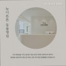 튼튼 동물병원 네이버블로그