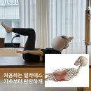동서밴딩 - 양산시 | 홍대 1:1 필라테스, 노브필라테스에서 배우는 복부운동 ( 척추의 움직임 4가지 )