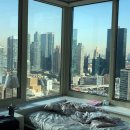 도우민박 이미지