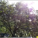 대봉목장 이미지