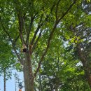 에코에코협동조합 이미지