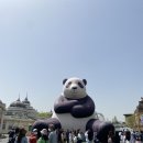 [에버랜드] 산리오 튤립축제 l 사파리월드 l 에버토피아 불꽃놀이 l 판다월드 굿즈 후기