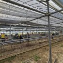 야정농장 이미지