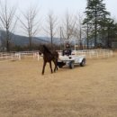 유정농장 이미지