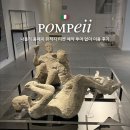 티켓투어(주) | 나폴리 폼페이 유적지 티켓 종류 가격 예약 투어 없이 방문 후기