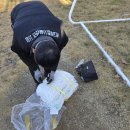 일봉초등학교 이미지