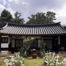 스냅치즈 이미지