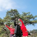 이명숙헤어 이미지
