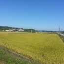 의성군농협쌀조합공동사업법인 이미지