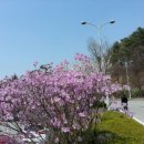 패션신시