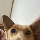 성남대로 1139번길 이미지