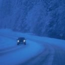 사랑나무한의원 이미지