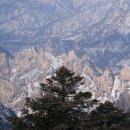 동양교통 이미지