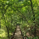 김삿갓면-42 이미지