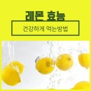 레몬 Daum카페