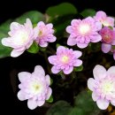 아름다운 인생이야기 이미지