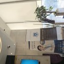 클린치과의원 이미지