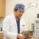 장승준동물치과병원 이미지