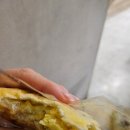 윤지영 단팥빵