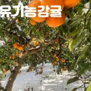 로만토피아오름추억 네이버블로그