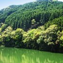 동양특수목재(주) 이미지