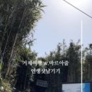 마르아줄 이미지