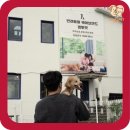 곱슬강아지 이미지