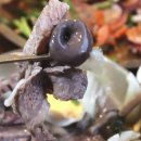 단천면옥 이미지