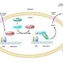 로데오약국 이미지